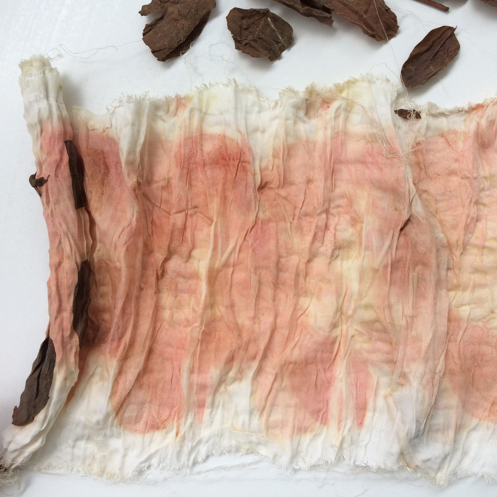 Eucalyptus – What's in the dye?  Natural Dye: Experiments and Results