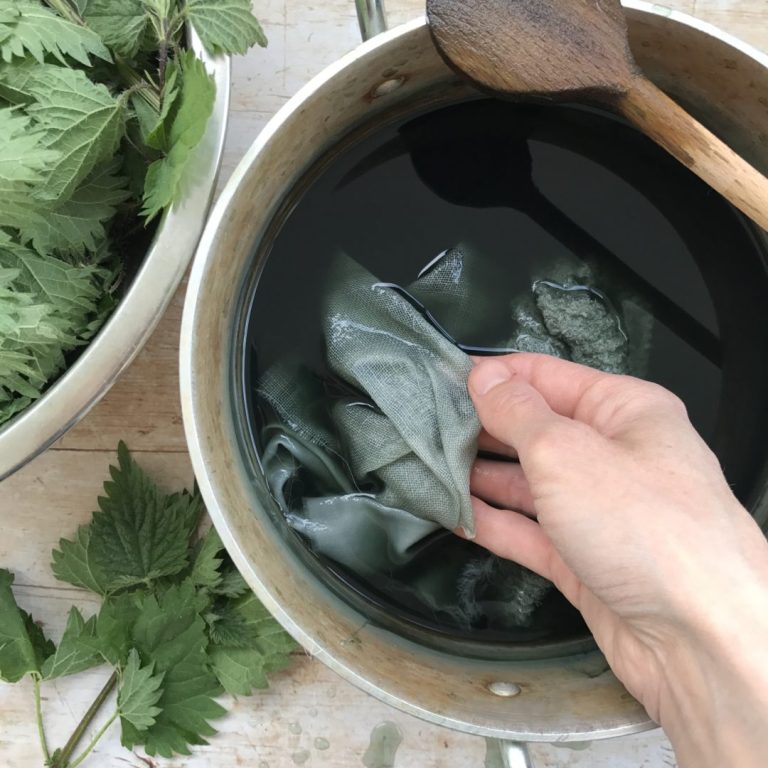 Dyeing with nettles + bonus herbalist interview