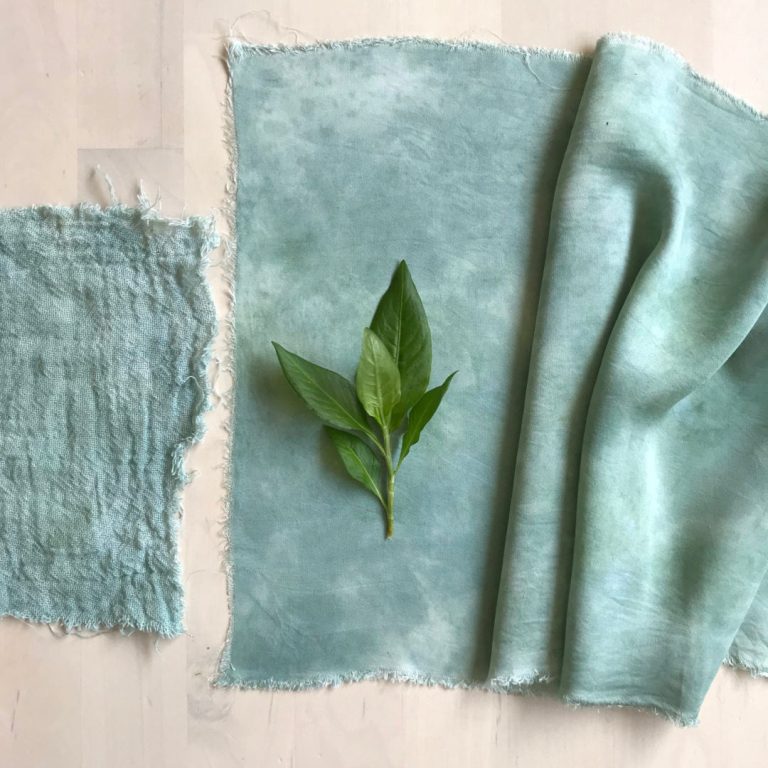 Fresh leaf indigo dyeing – the salt rub method