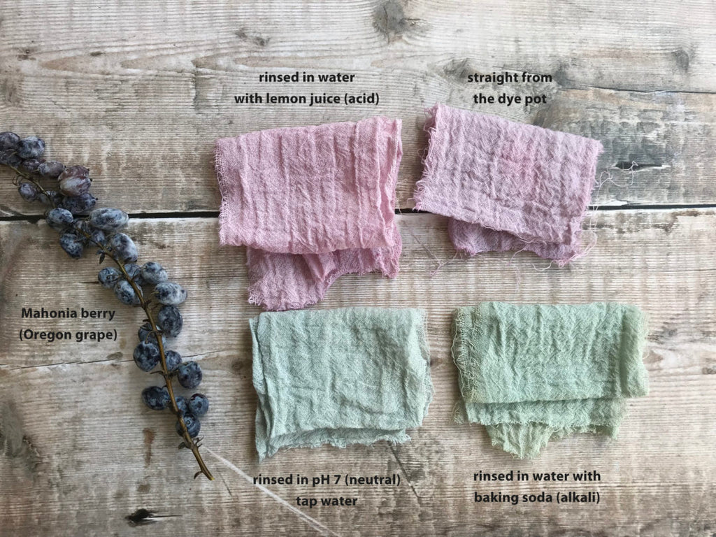 Tie dye with natural berry dye - Mud & Bloom