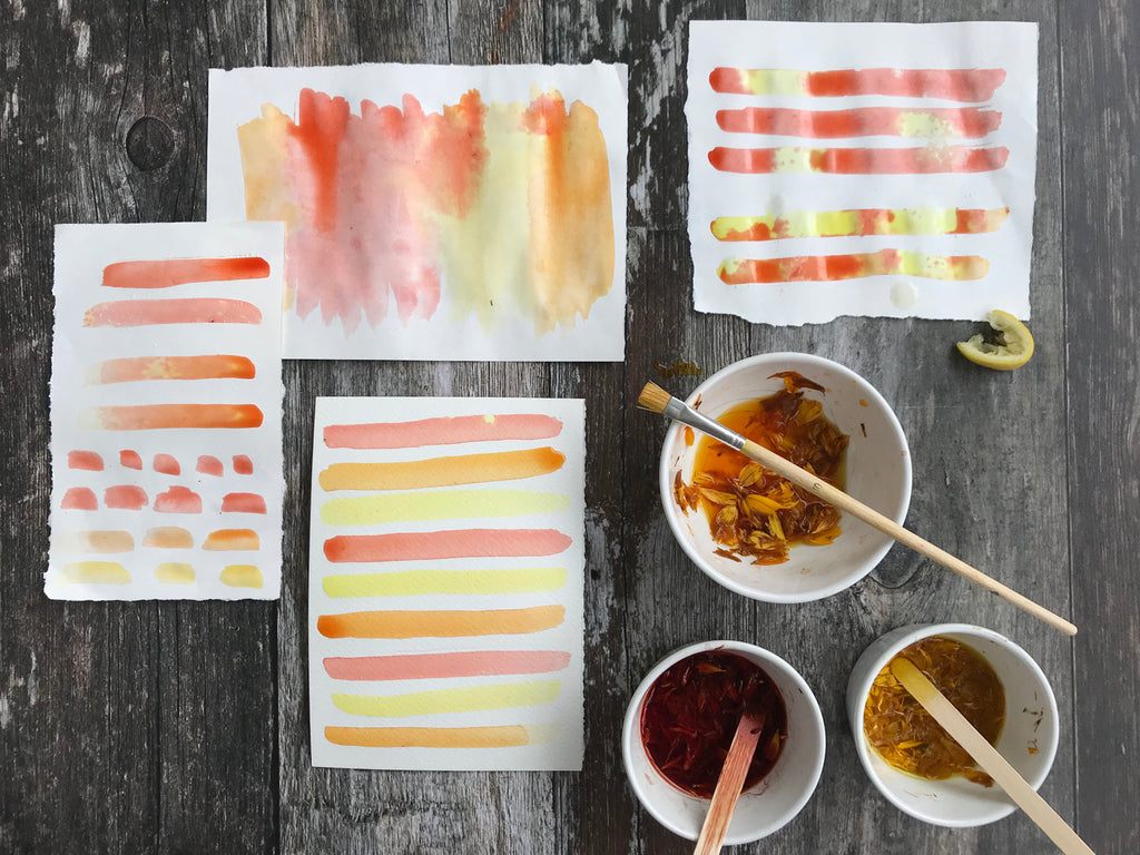How to Make Watercolor Paint from Flowers – Mother Earth News