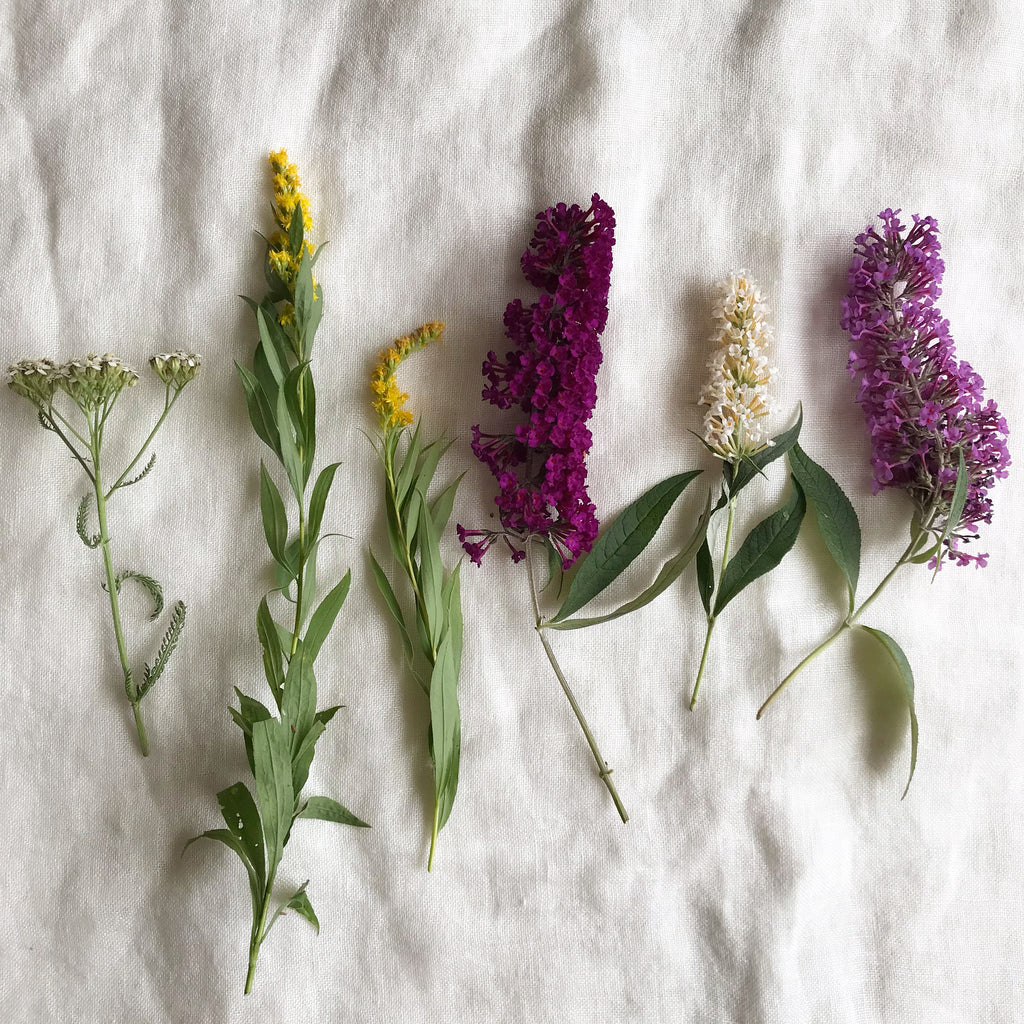 How to Create Natural Fabric Dyes Using Food and Plants - Brightly