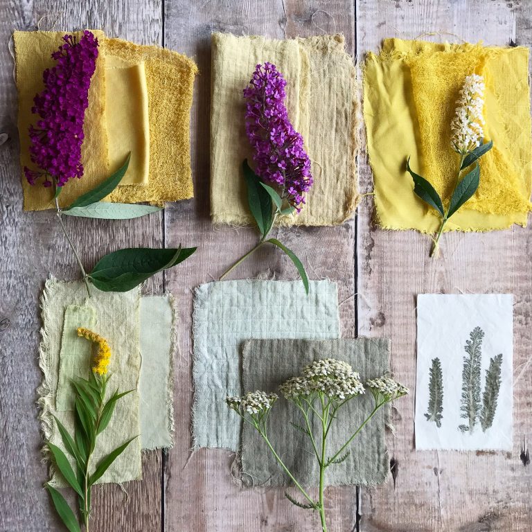 Dyeing with garden flowers