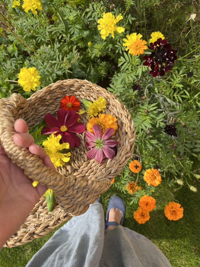 Dyeing with garden flowers - Rebecca Desnos