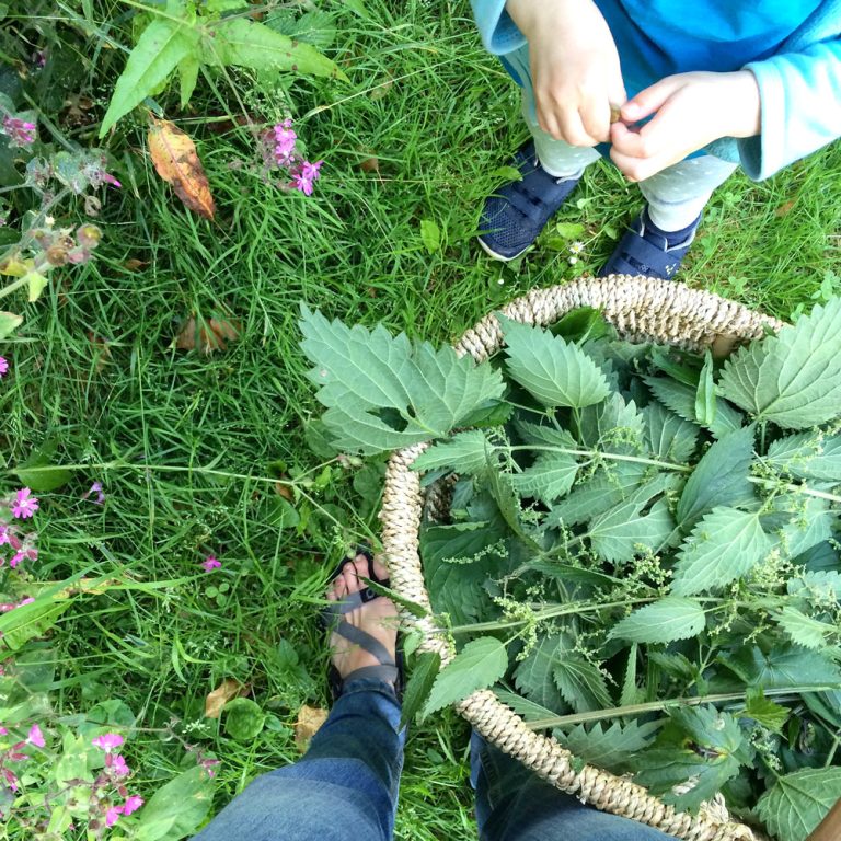 Foraging tips & discussing ‘plant fear’