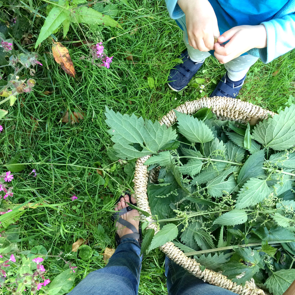 Dyeing with nettles + bonus herbalist interview – Rebecca Desnos