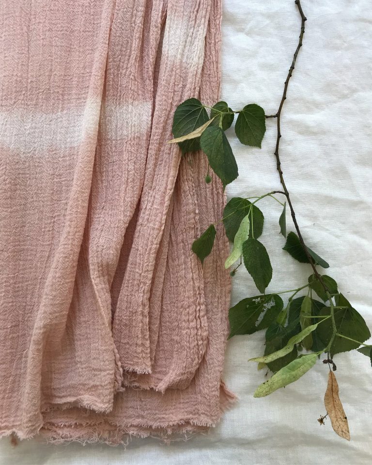 Why I started plant dyeing (it may surprise you!)