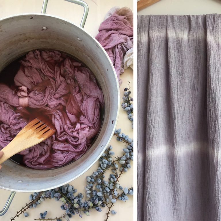 Dyeing with berries