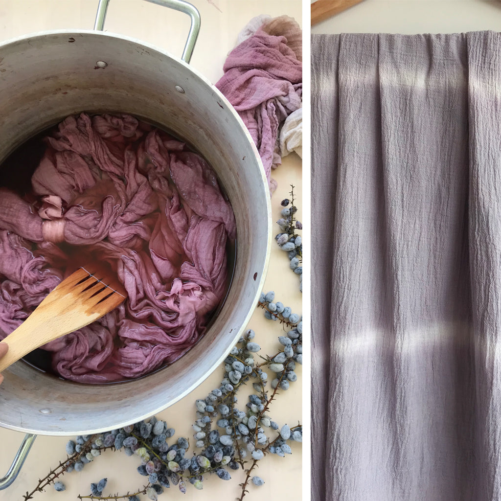 Dyeing with berries - Rebecca Desnos