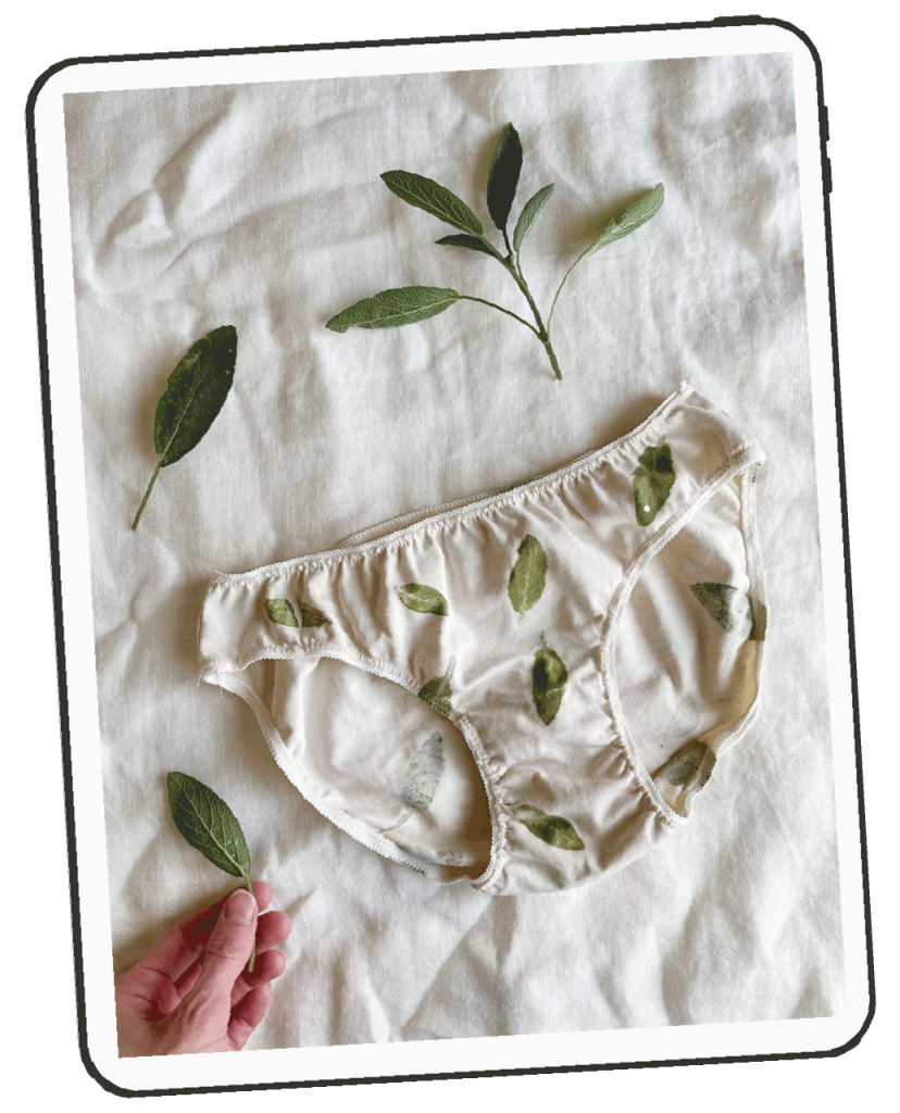 Magical Plant Dyed High-waist Panties Dyed With Avocado, Beet